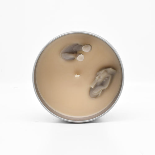 Mr. Rochester-Scented Candle – JD and Kate Industries