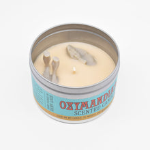 Load image into Gallery viewer, Ozymandias-Scented Candle